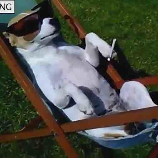 手机用户20462393