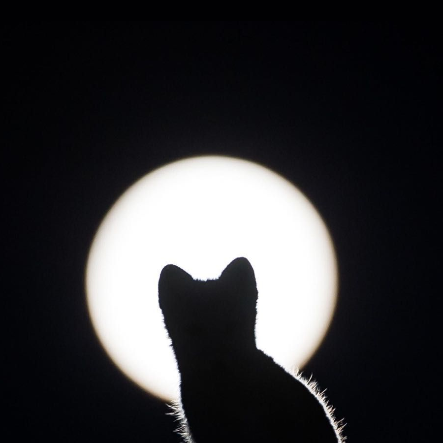 暗夜中的迷离