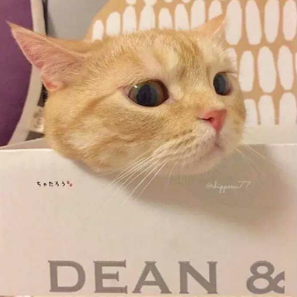 癸