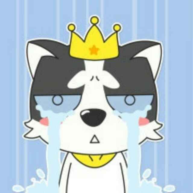 晓飞