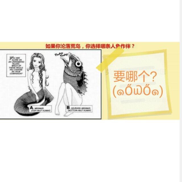 Dr.帆丶