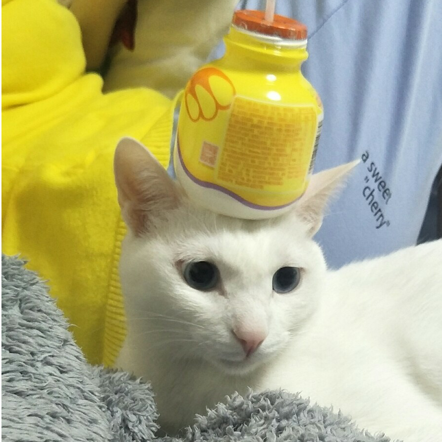 糕闻蹊