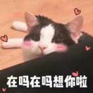 隐姓埋名丿华安