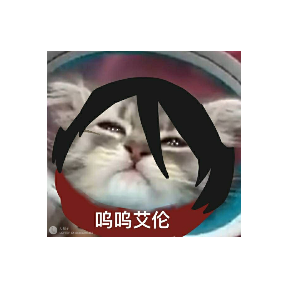 维泽