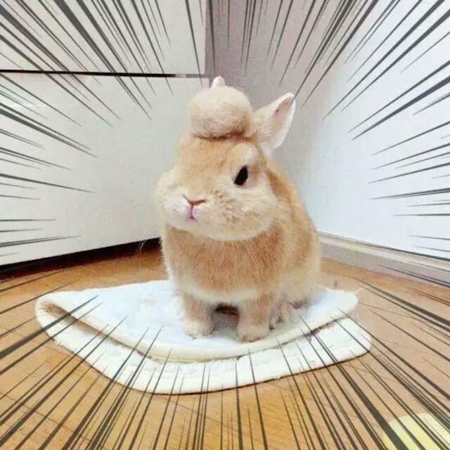 我真是⁶₆⁶₆⁶₆