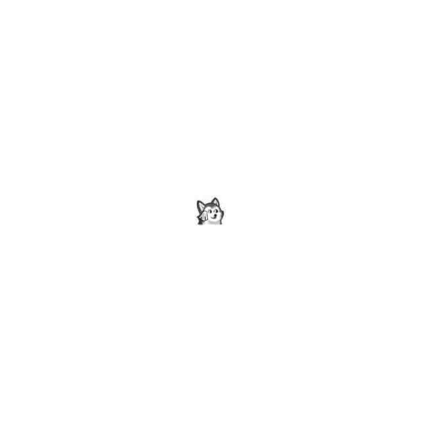 尛淼畾