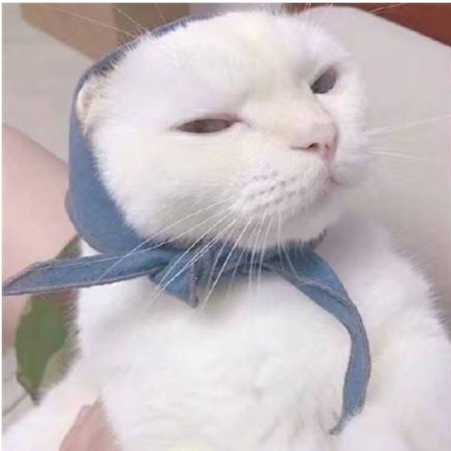 篱然