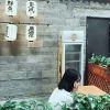 我爱龙与勇士