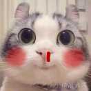 大熊猫