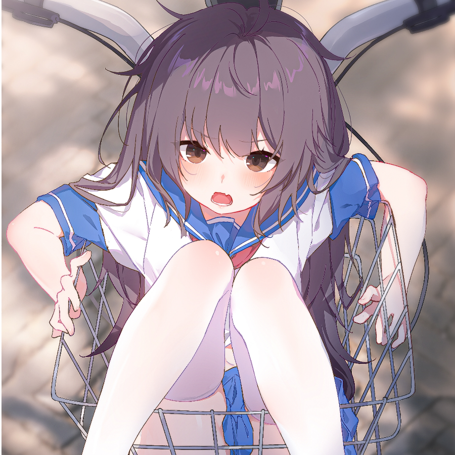 咸鱼怀里的猫(ฅ´ω`ฅ)