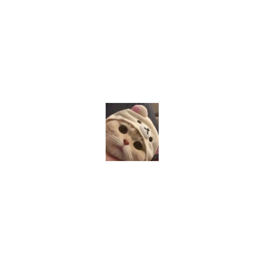 【嗯我在呢i】