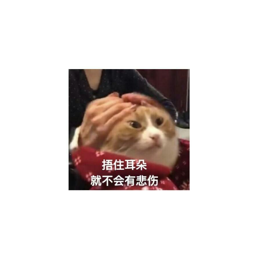 风华犹存