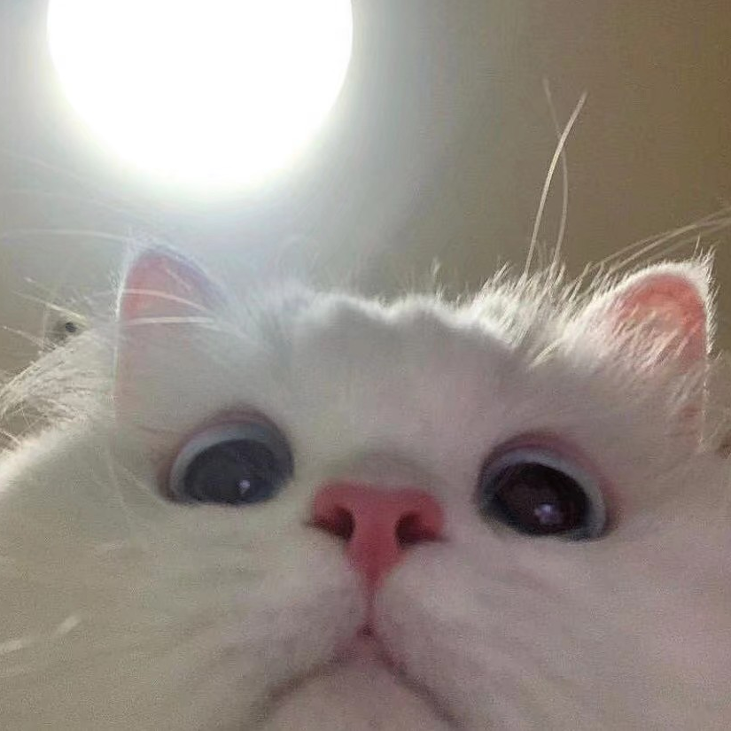 :-_