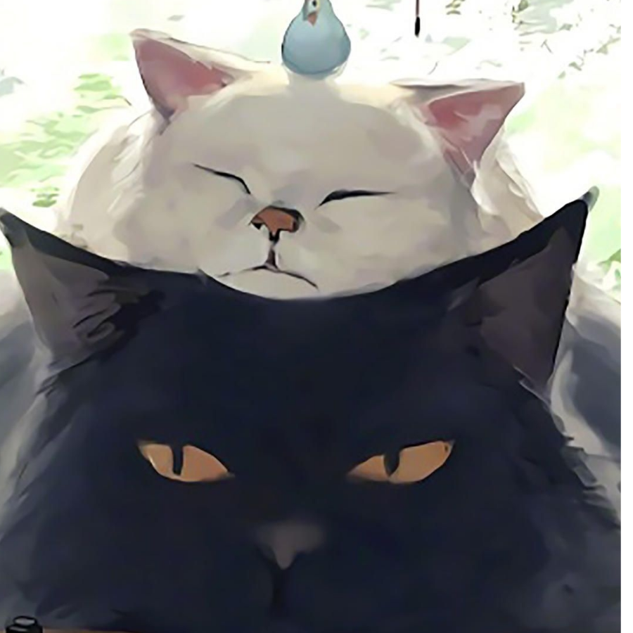 小七