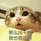 晓晓晓晓晓白、