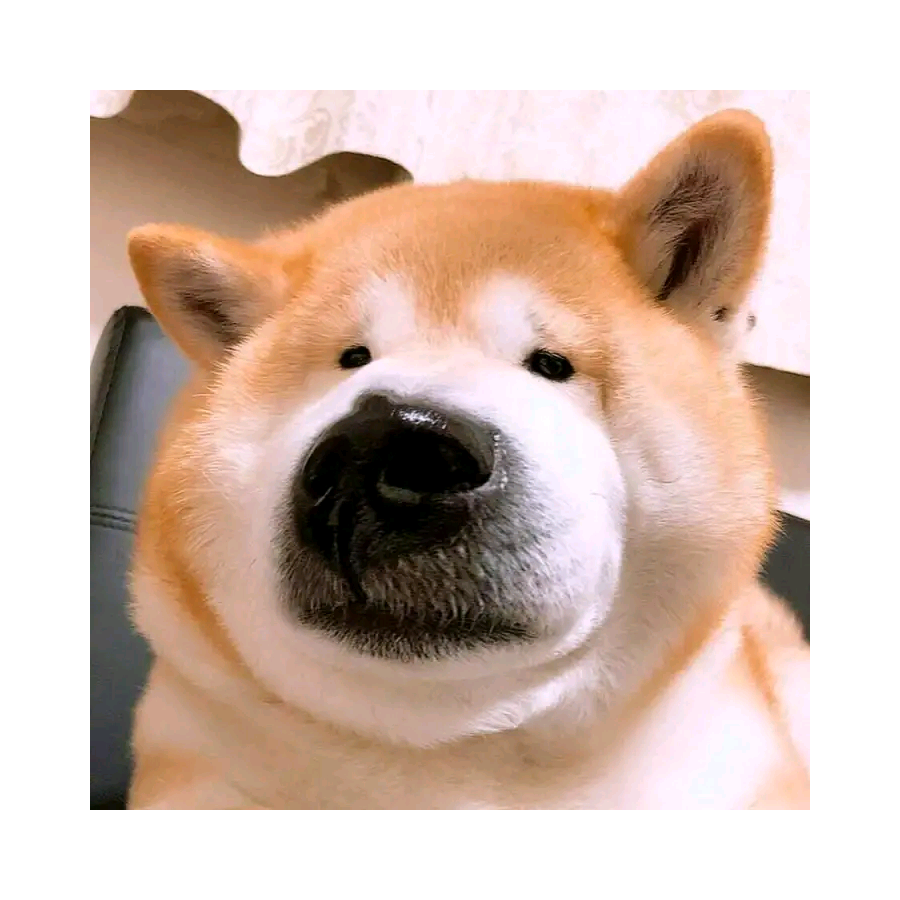 辰风
