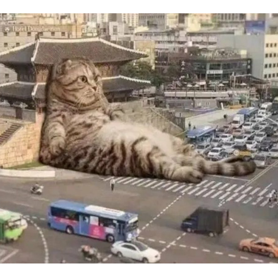 飘逸萌新
