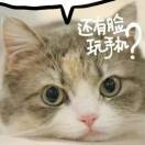 秋雨心梦