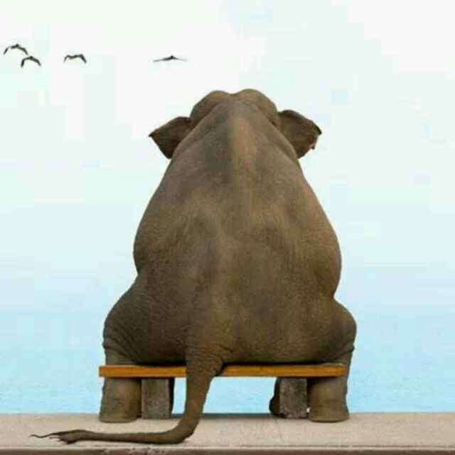 静谧无波，清澈无暇