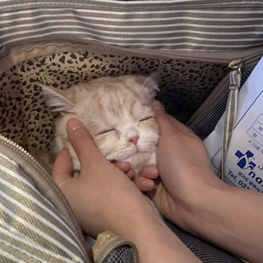 奶酷_7_
