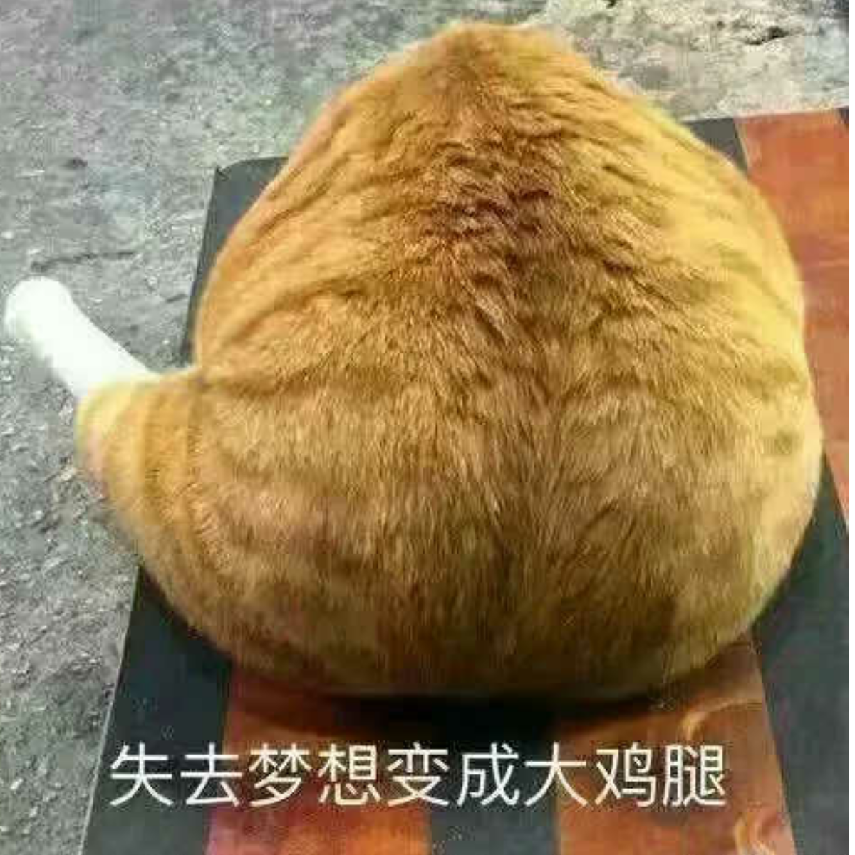 嘻嘻