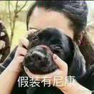 無灋觸踫の愛