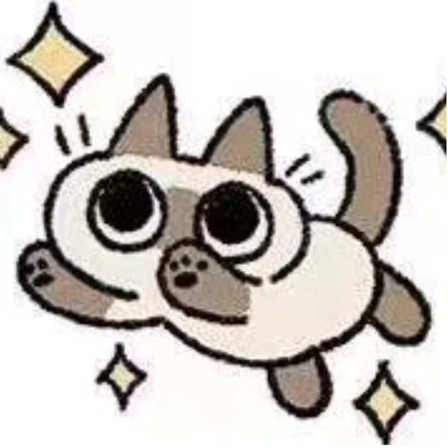 🌸喵喵的奇妙探险🌸