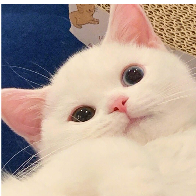 溟璞mingpu