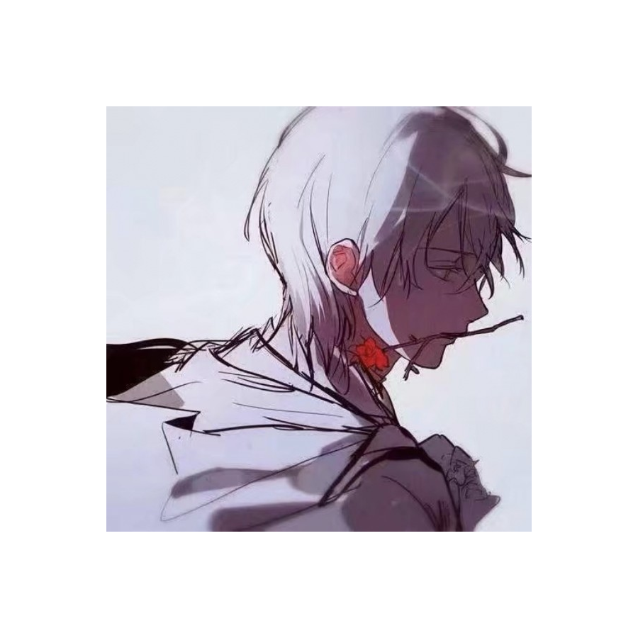 轻璇