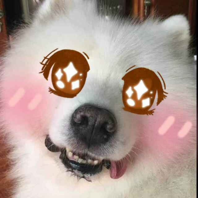 哩依。