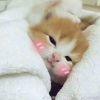 *:･ﾟ✧