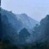 方子执