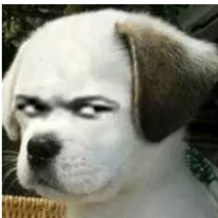 维森莫•拉摩帥