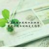 暖阳ぅ暖眸ぅ