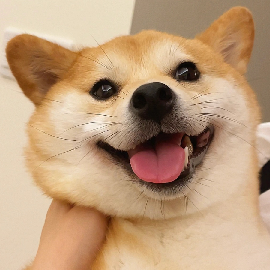 四季尝困