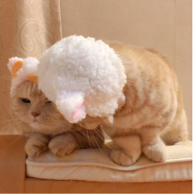 念梦