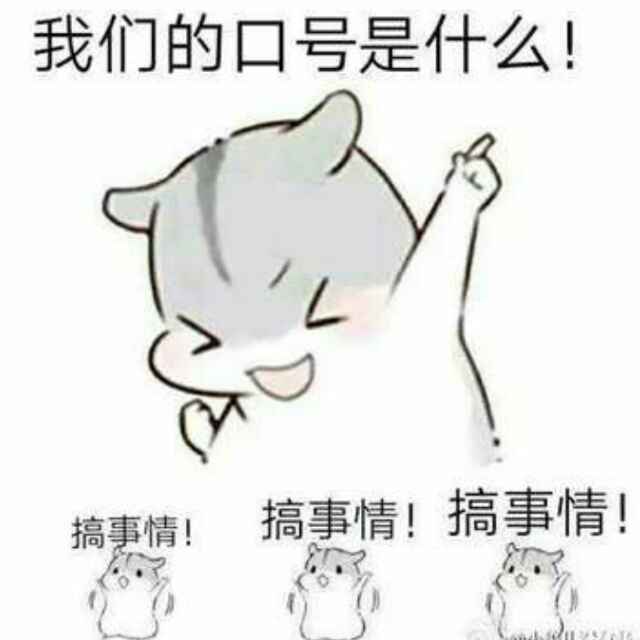 （喵乐喵）