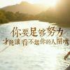 神道空间云