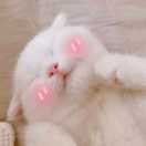 ฅ