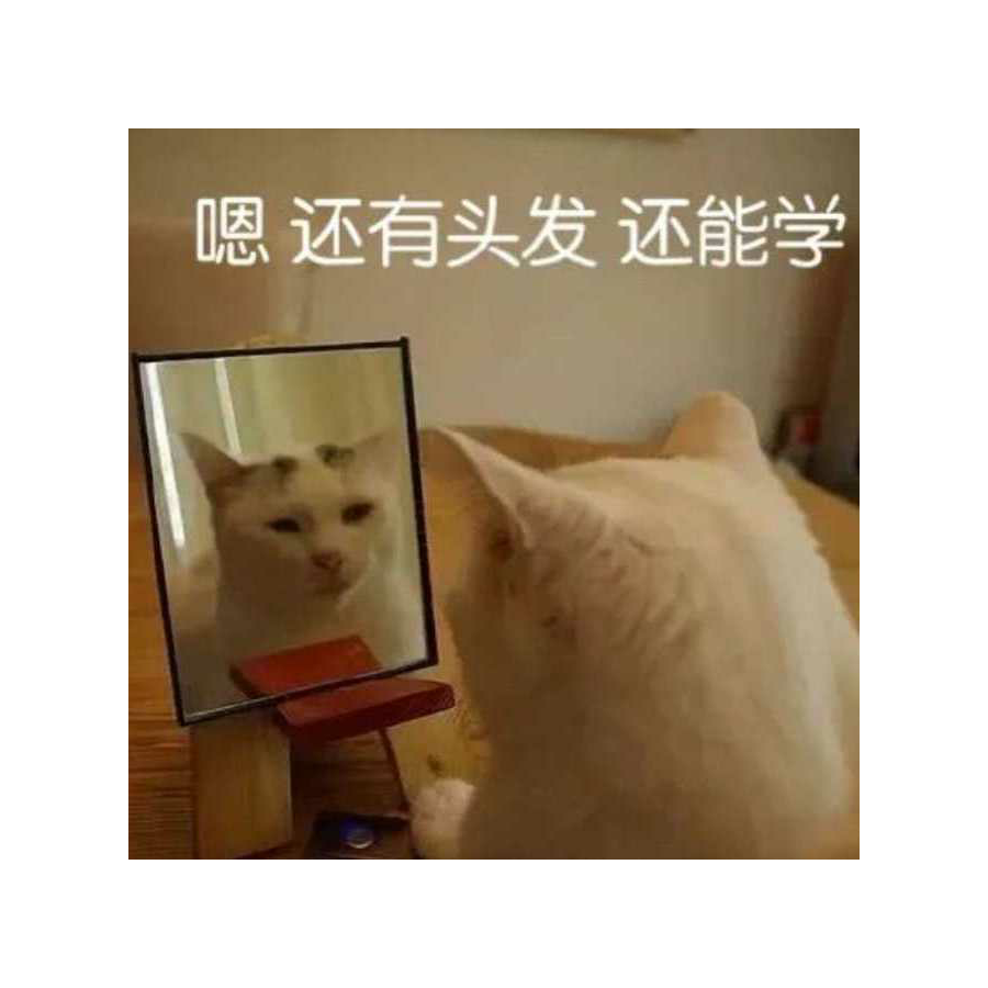 白云洒金天心动