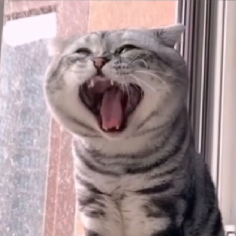 静
