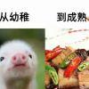 游戏爱好者