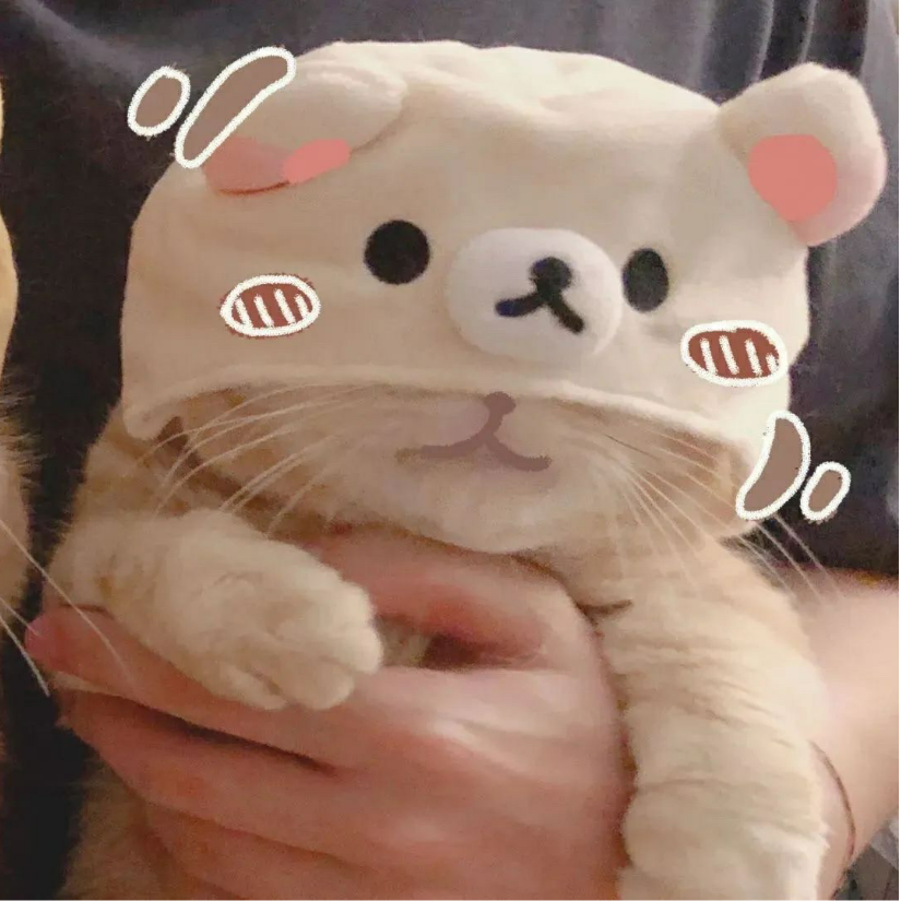 良月十三