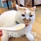 Han。