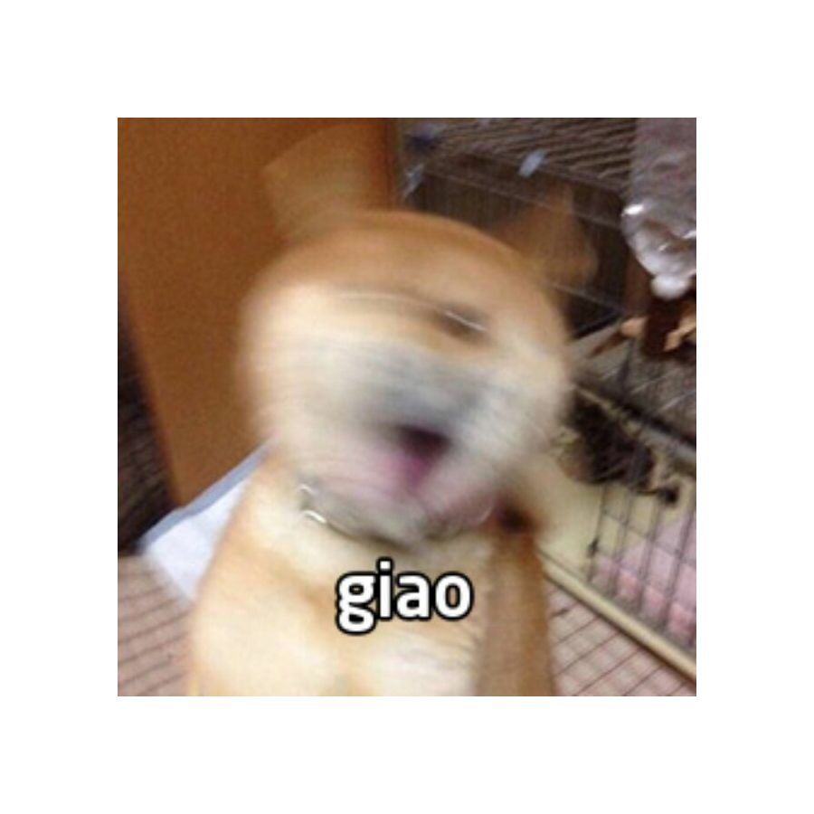 请叫我靓仔