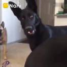 随意