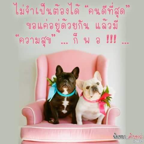 ปิติพล งามเเสง