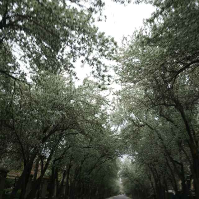 梦想成真