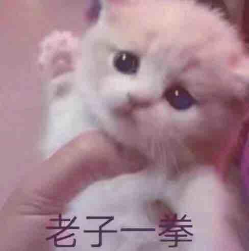 阿鹿鹿