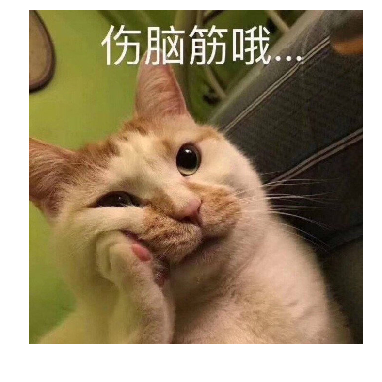 超级迪奥！